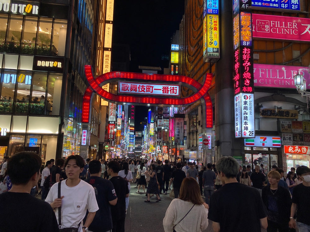 Shinjuku Night Walk
