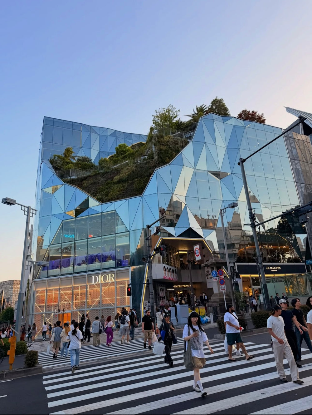 Harajuku and Omotesando Walk
