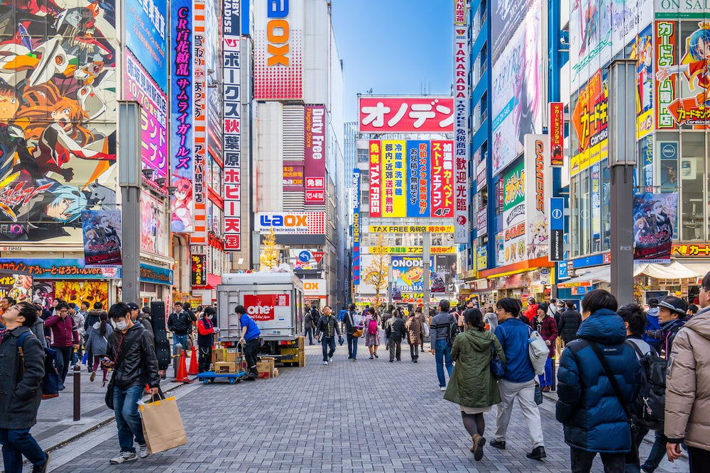 Tokyo Full Day Luxury Private Tour - from Tokyo with English-Speaking Driver