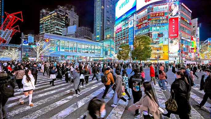 Shinjuku Night Walk