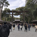 Harajuku and Omotesando Walk