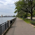 Nakameguro Riverside Walk