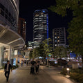 Roppongi Evening Walk