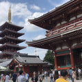 Tokyo Full Day Luxury Private Tour - from Tokyo with English-Speaking Driver