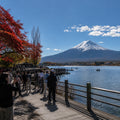 Mt Fuji Full Day Luxury Private Tour - from Tokyo with English-Speaking Driver