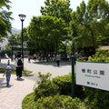 Roppongi Evening Walk
