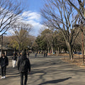 Harajuku and Omotesando Walk