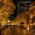 Ebisu Evening Walk