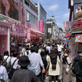 Harajuku and Omotesando Walk