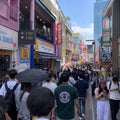 Tokyo Full Day Luxury Private Tour - from Tokyo with English-Speaking Driver