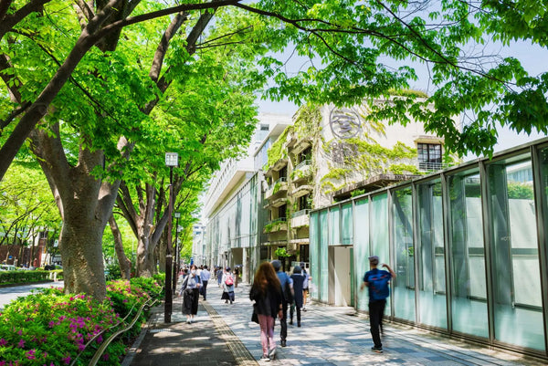 Harajuku and Omotesando Walk