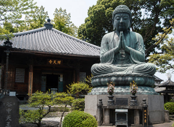 Yanaka Retro Walk