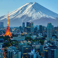 Tokyo Full Day Luxury Private Tour - from Tokyo with English-Speaking Driver