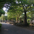 Yanaka Retro Walk