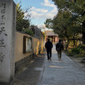 Yanaka Retro Walk