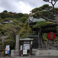 Kamakura Full Day Luxury Private Tour - from Tokyo with English-Speaking Driver