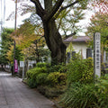 Yanaka Retro Walk