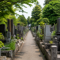 Yanaka Retro Walk