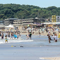 Kamakura Full Day Luxury Private Tour - from Tokyo with English-Speaking Driver