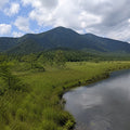 Nikko Full Day Luxury Private Tour - from Tokyo with English-Speaking Driver
