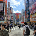Akihabara Anime Walk