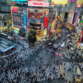 Tokyo Full Day Luxury Private Tour - from Tokyo with English-Speaking Driver