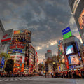 Tokyo Full Day Luxury Private Tour - from Tokyo with English-Speaking Driver