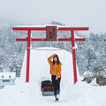 Nagano Full Day Luxury Private Tour - from Tokyo with English-Speaking Driver