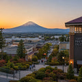 Mt Fuji Full Day Luxury Private Tour - from Tokyo with English-Speaking Driver