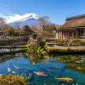 Mt Fuji Full Day Luxury Private Tour - from Tokyo with English-Speaking Driver