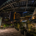 Ebisu Evening Walk