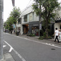 Harajuku and Omotesando Walk