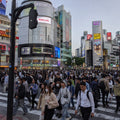 Tokyo Full Day Luxury Private Tour - from Tokyo with English-Speaking Driver