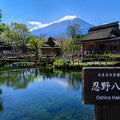 Mt Fuji Full Day Luxury Private Tour - from Tokyo with English-Speaking Driver