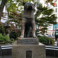 Shibuya Central Walk