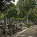 Yanaka Retro Walk
