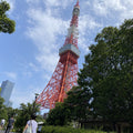 Tokyo Full Day Luxury Private Tour - from Tokyo with English-Speaking Driver