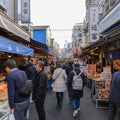 Tokyo Full Day Luxury Private Tour - from Tokyo with English-Speaking Driver