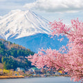 Mt Fuji Full Day Luxury Private Tour - from Tokyo with English-Speaking Driver