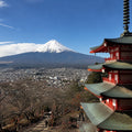 Mt Fuji Full Day Luxury Private Tour - from Tokyo with English-Speaking Driver