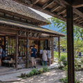 Mt Fuji Full Day Luxury Private Tour - from Tokyo with English-Speaking Driver
