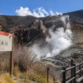 Hakone Full Day Luxury Private Tour - from Tokyo with English-Speaking Driver