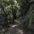 Kamakura Full Day Luxury Private Tour - from Tokyo with English-Speaking Driver