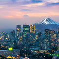 Mt Fuji Full Day Luxury Private Tour - from Tokyo with English-Speaking Driver