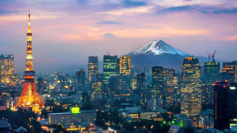 Mt Fuji Full Day Luxury Private Tour - from Tokyo with English-Speaking Driver