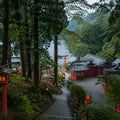 Hakone Full Day Luxury Private Tour - from Tokyo with English-Speaking Driver