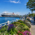 Yokohama Full Day Luxury Private Tour - from Tokyo with English-Speaking Driver