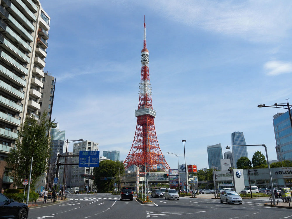 Tokyo Full Day Luxury Private Tour - from Tokyo with English-Speaking Driver
