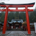 Hakone Full Day Luxury Private Tour - from Tokyo with English-Speaking Driver