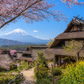 Mt Fuji Full Day Luxury Private Tour - from Tokyo with English-Speaking Driver